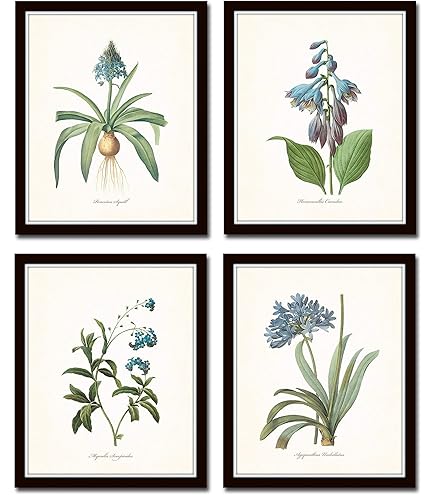 Amazon.com: Blue Flowers Botanical Print Set of 6 Wall Art